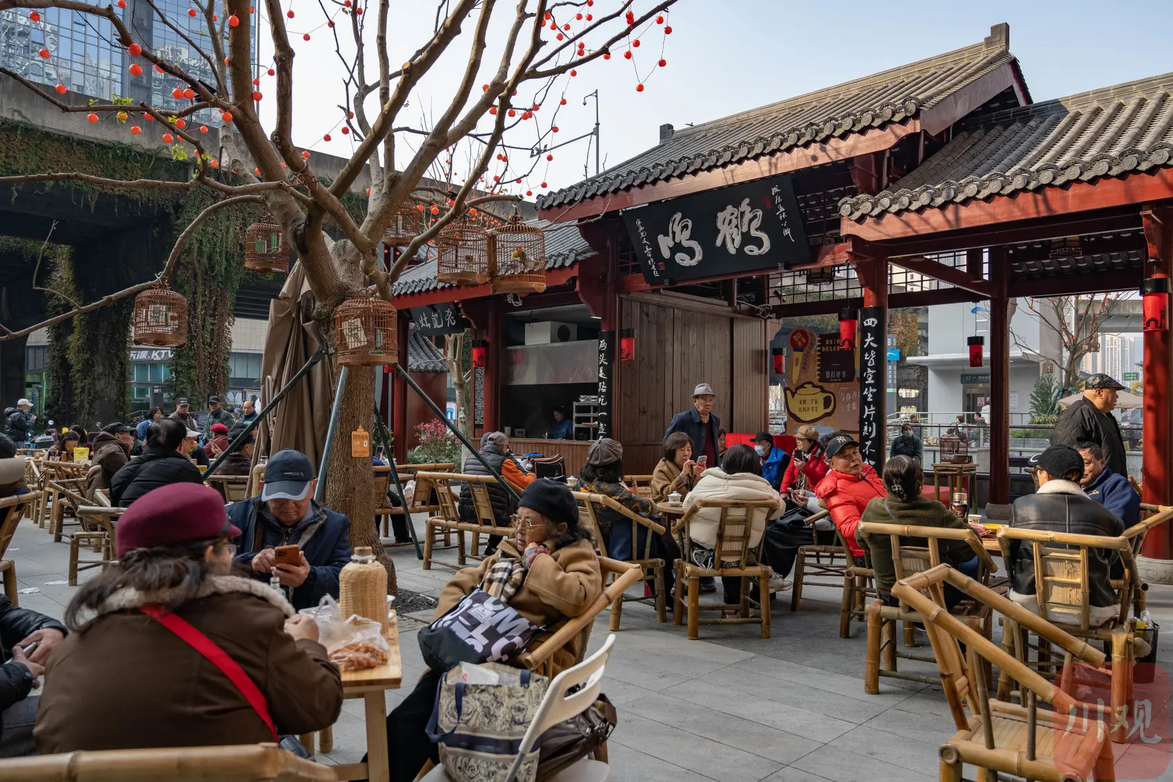 Tea House Culture: How to Spend a Lazy Afternoon Like a Local